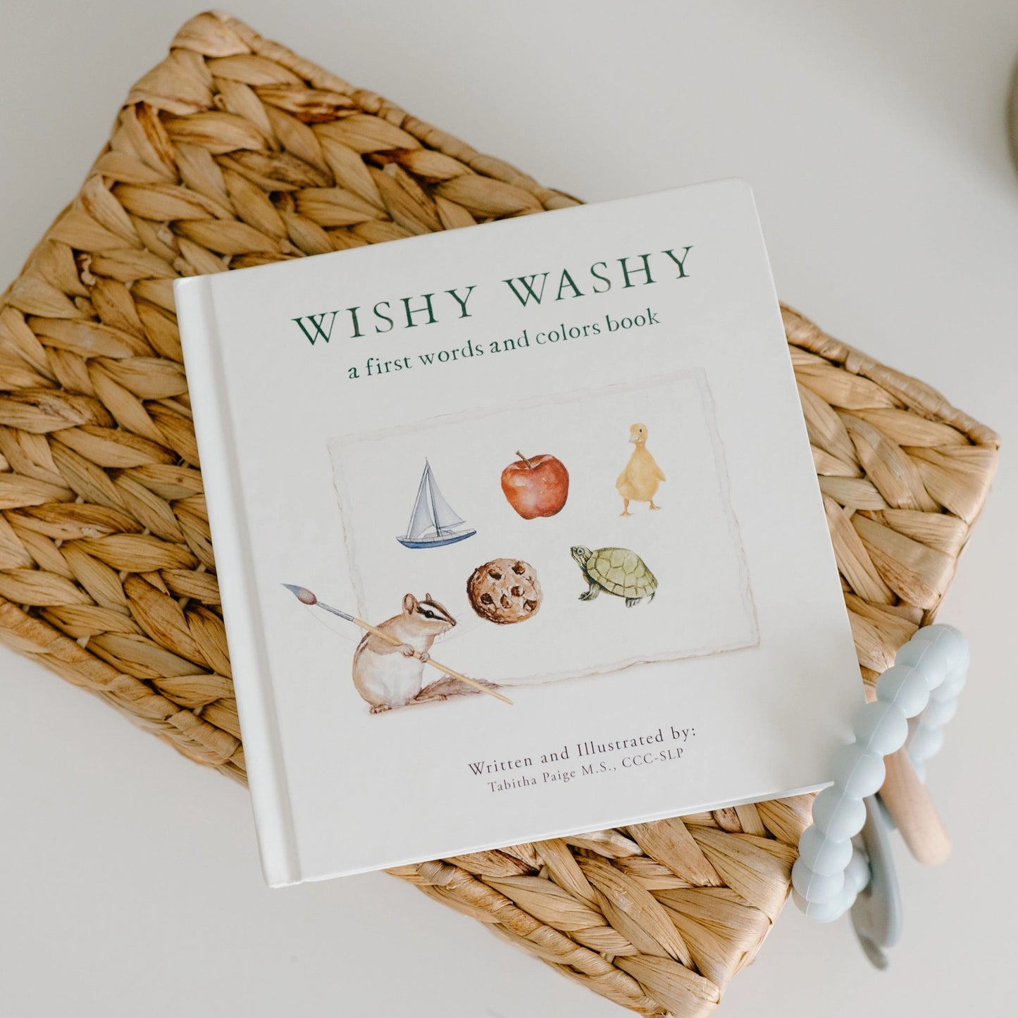 Wishy Washy: A Board for First Words and Colors